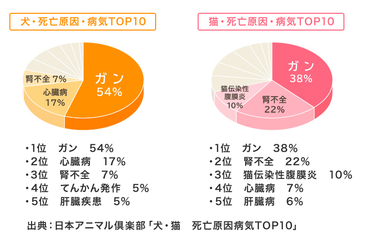 ペット産業(疾患)市場について